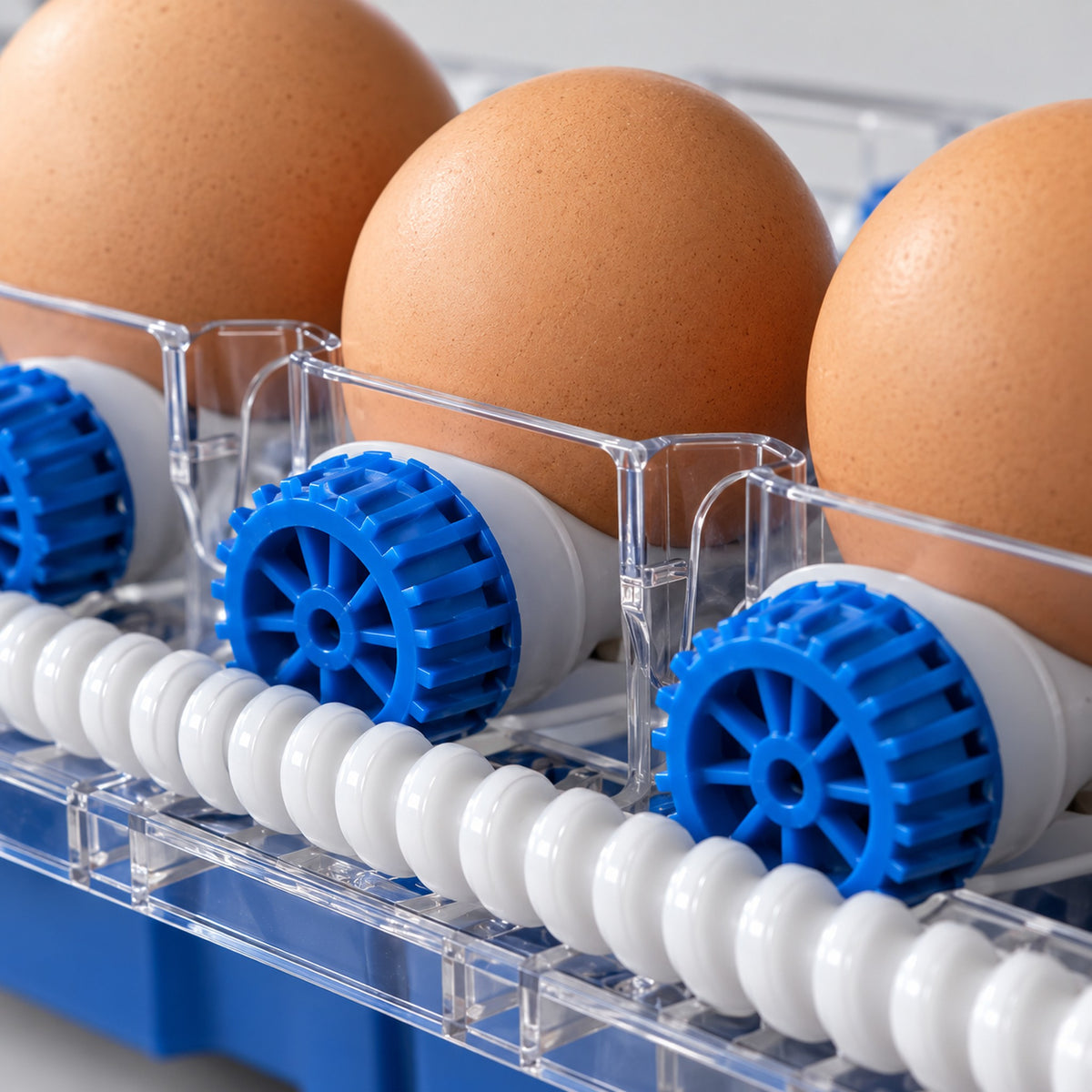 Close-up of the blue rollers and the single white drive shaft that turns every egg automatically