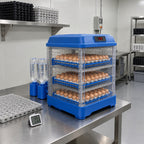 The 98-egg Ovatekly incubator on a stainless steel bench in a poultry breeding preparation room, egg flats and a hygrometer beside it